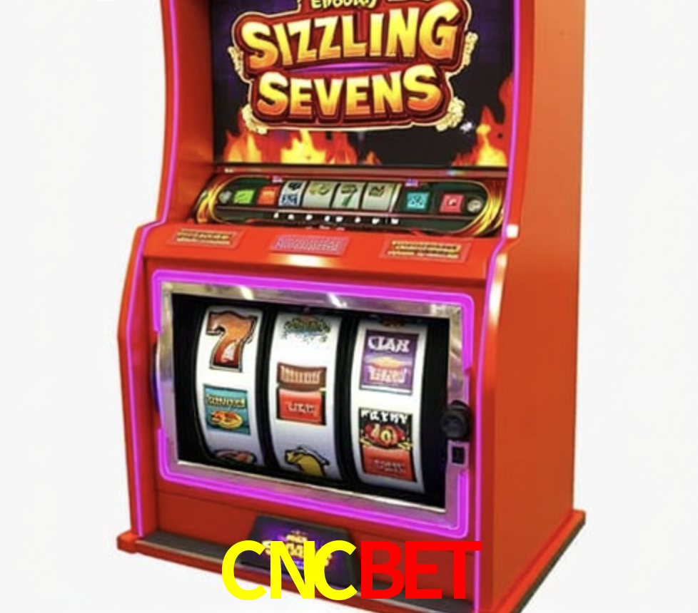 Security Systems CNCBET